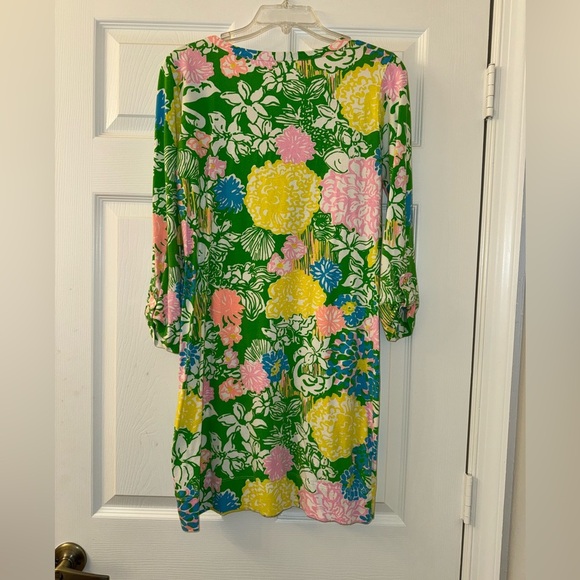 Colorful Lilly Pulitzer Dress! - Picture 4 of 5